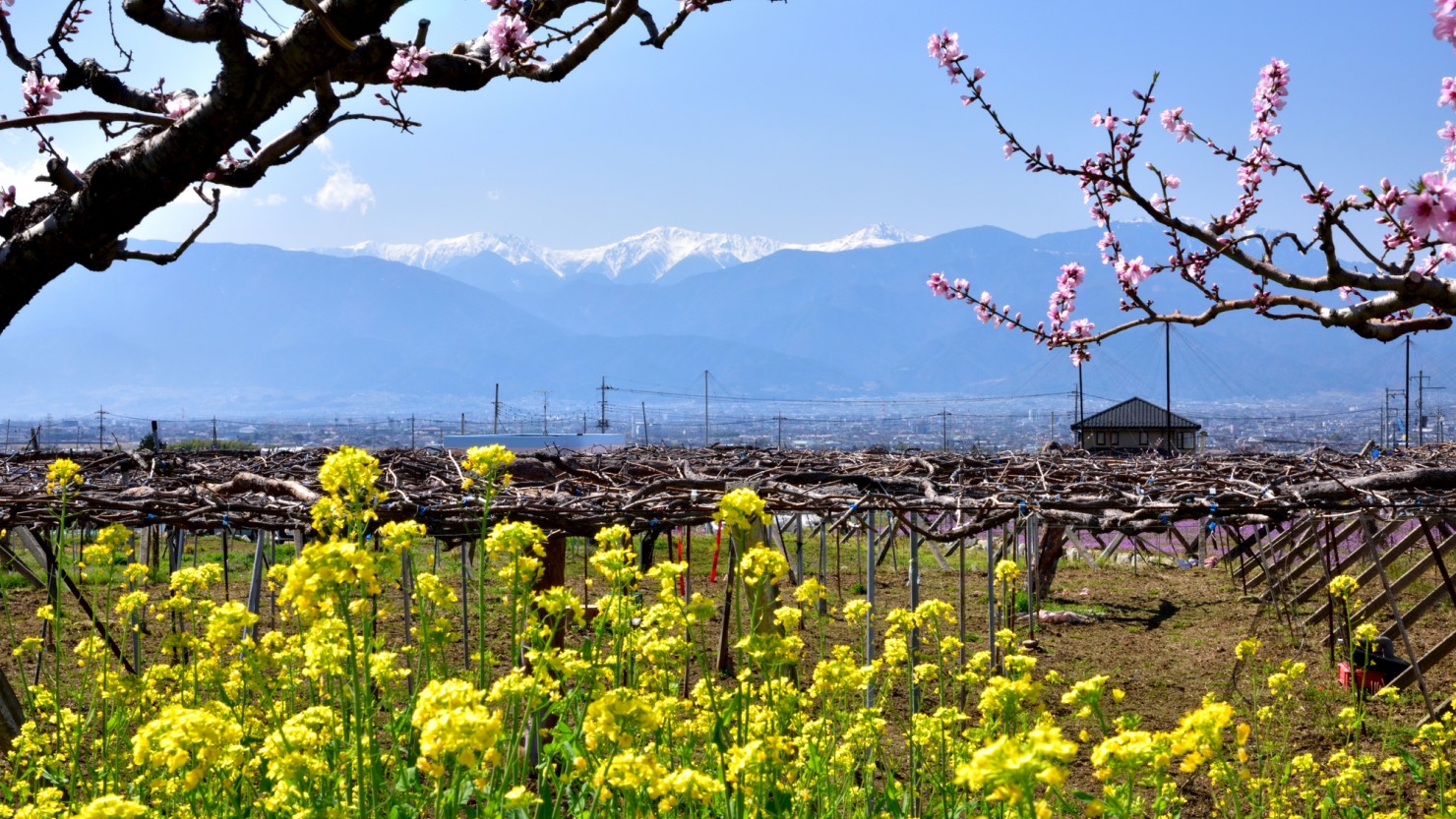 標高3,000メートルを超える壮大な山を眺めながら暮らせる街