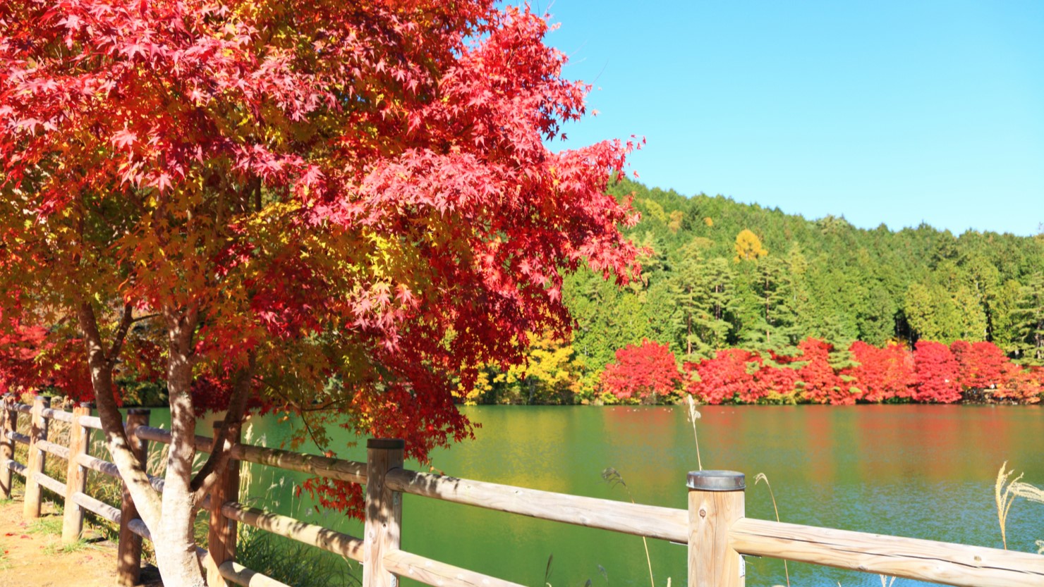 伊奈ヶ湖をはじめとする自然豊かな南アルプス市西部