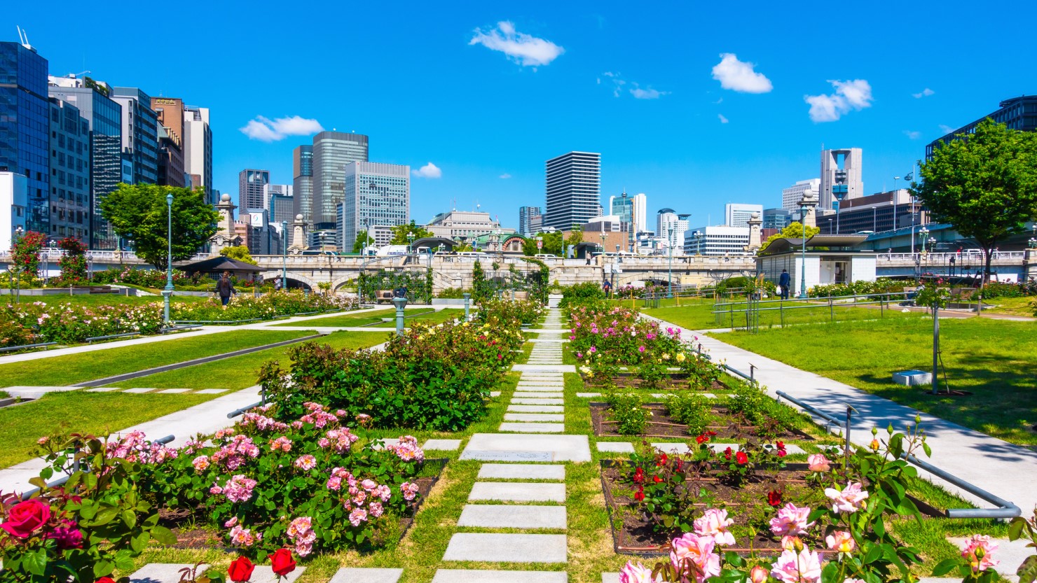 東洋陶磁美術館の東側にある中之島公園。薔薇の季節に無数の種類の花が咲き誇る