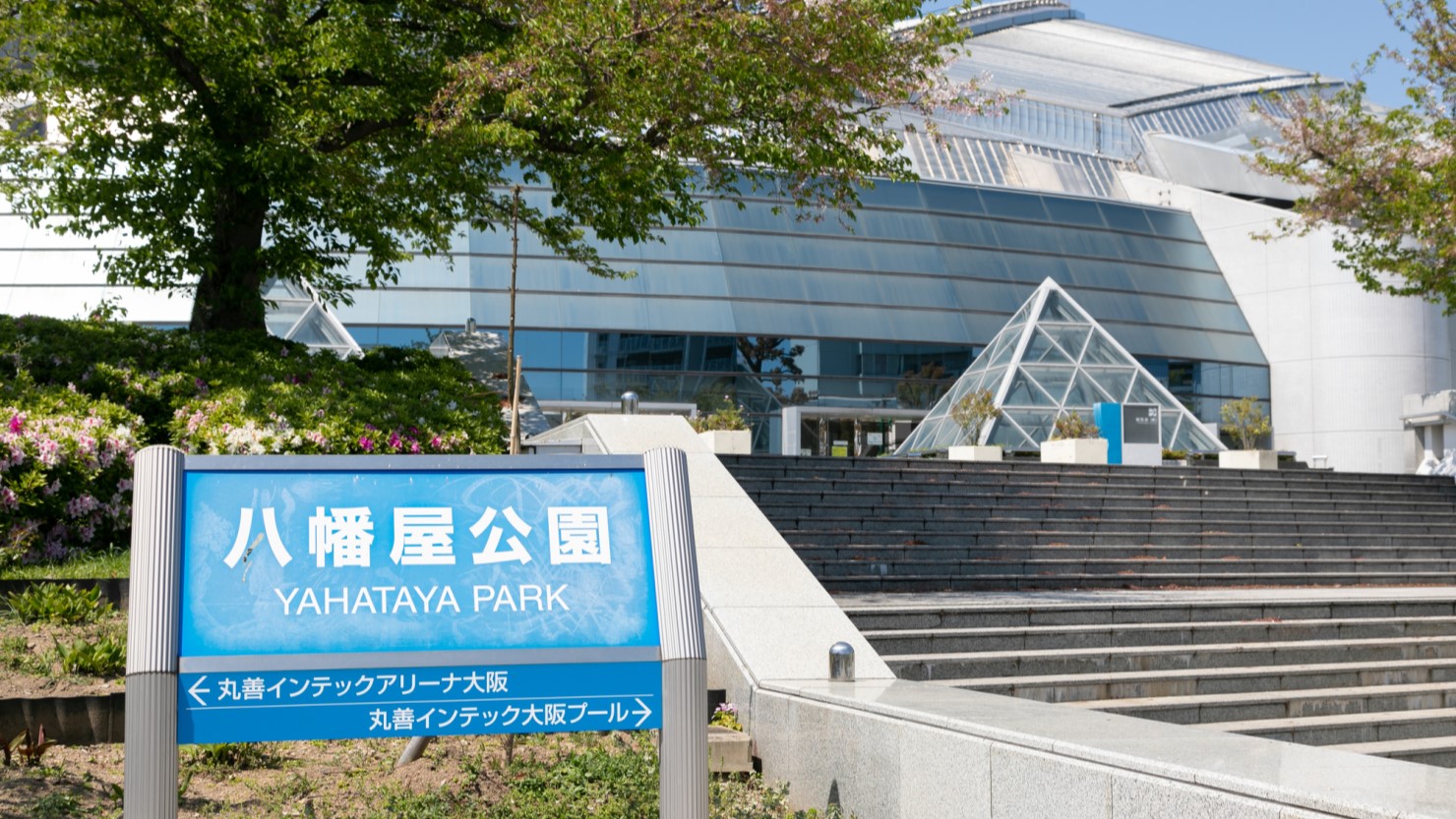 こちらが八幡屋公園。奥にあるのが体育館で開園は大正12年。面積は、12.4ヘクタールとかなりの大きさ。1996年に大阪プールと大阪市中央体育館がこちらに移転し、現在の形になりました