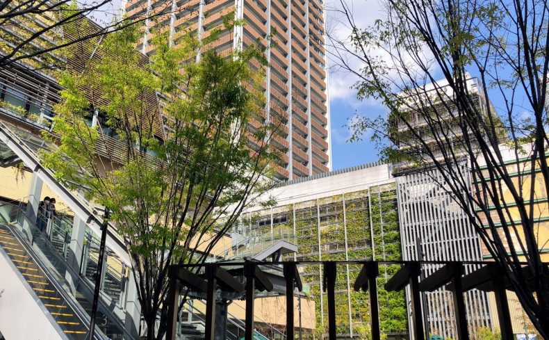 神奈川県「武蔵小杉」の散歩スポット” 11選”！地元住民がおすすめの散歩コースを紹介