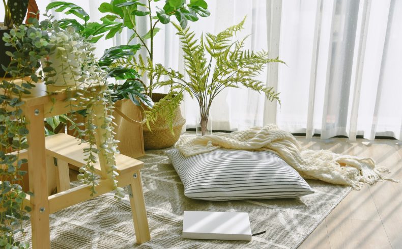 おすすめの観葉植物“32選”！魅力・選び方・おすすめの品種の特徴を紹介