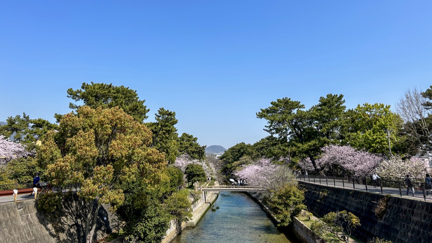 夙川オアシスロード