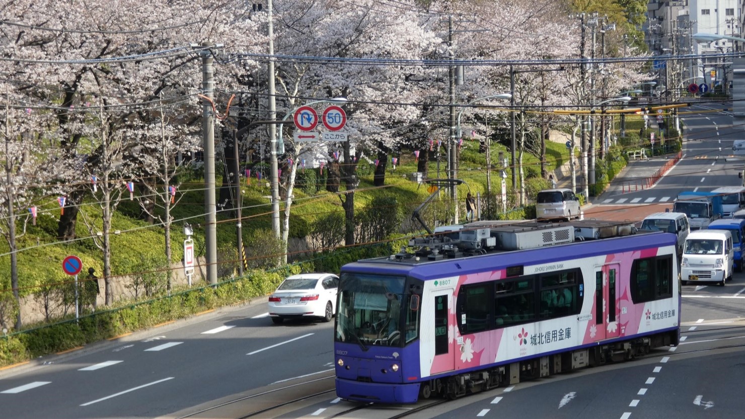 飛鳥山の前を走る東京さくらトラム