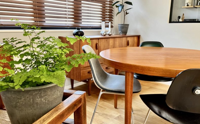 「アジアンタム」は難しい観葉植物って本当？意外な一面や育て方のコツを紹介