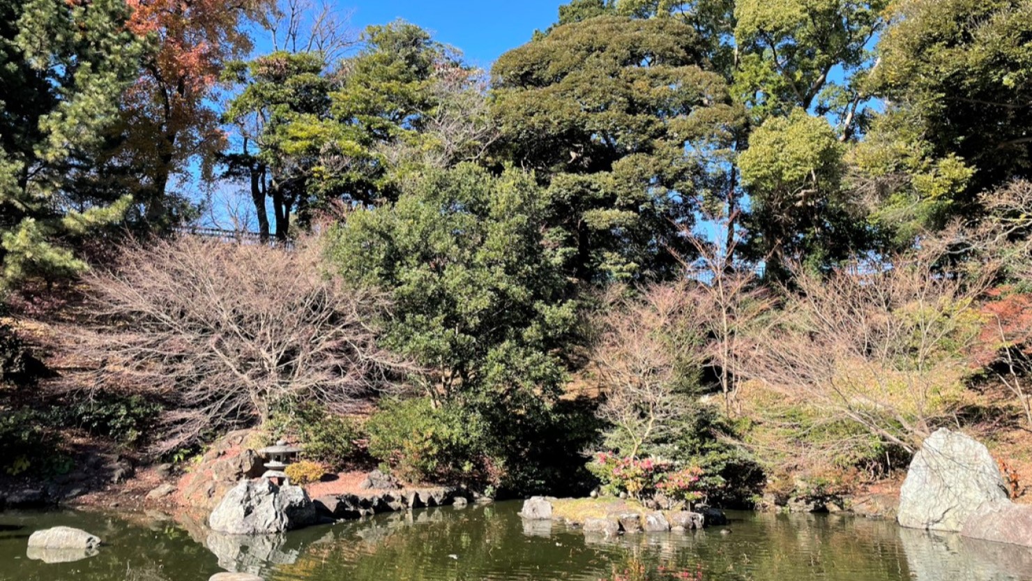 野毛山公園内にある池