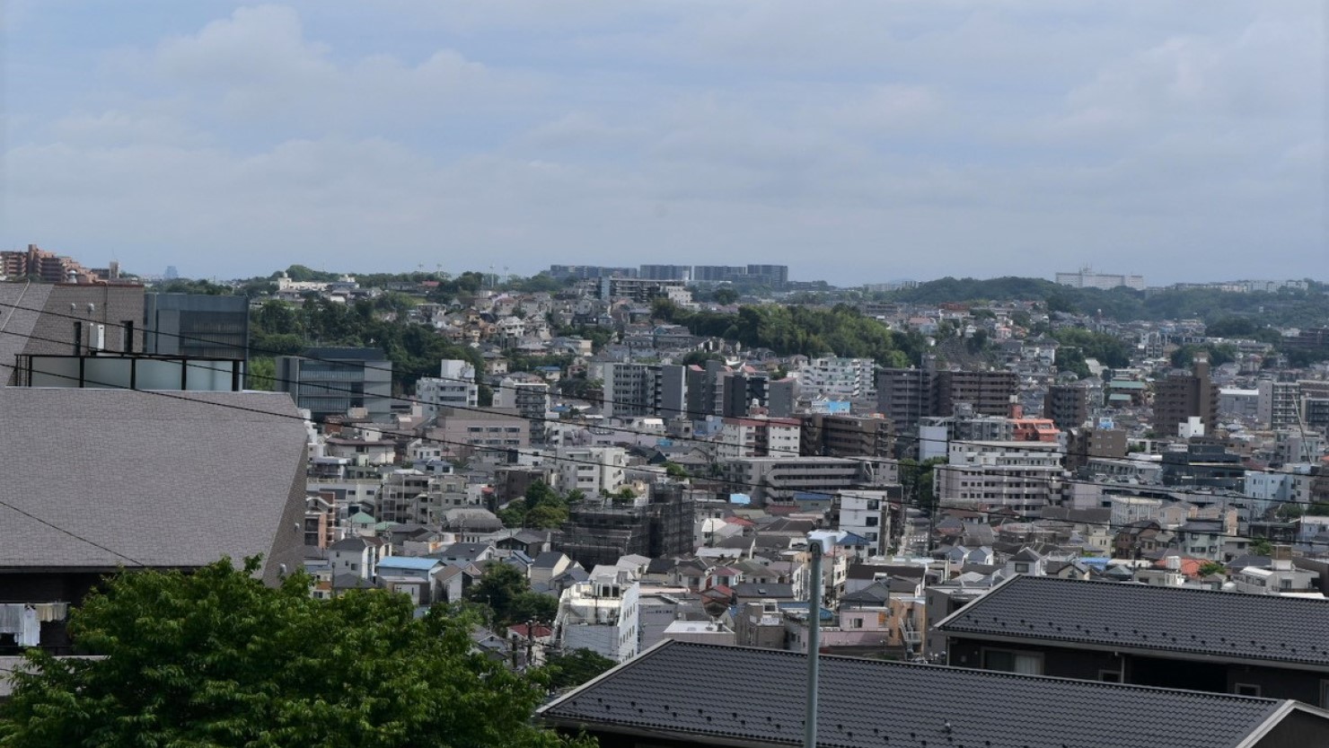 清水ケ丘公園から見た南区の様子