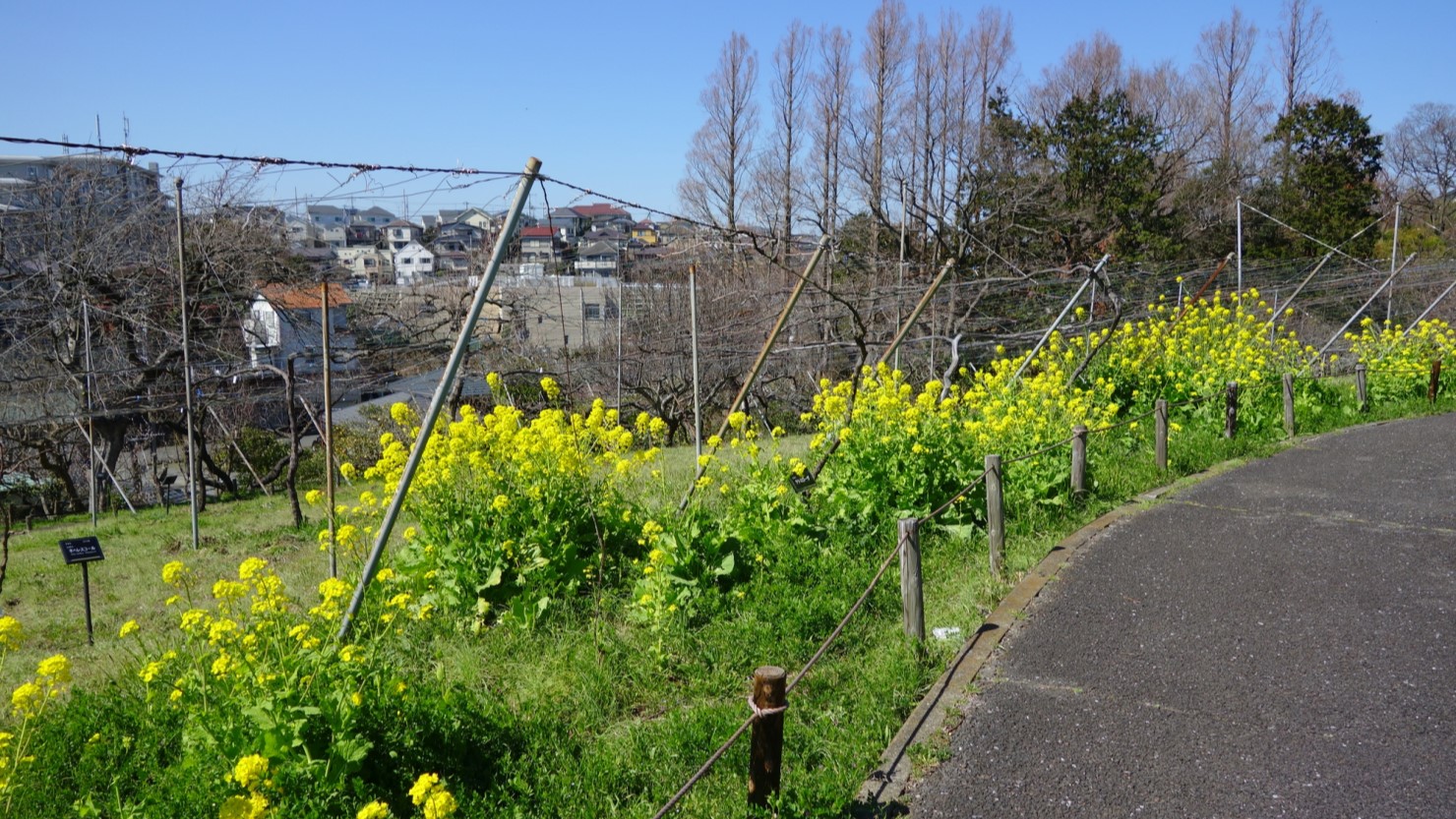 横浜市こども植物園