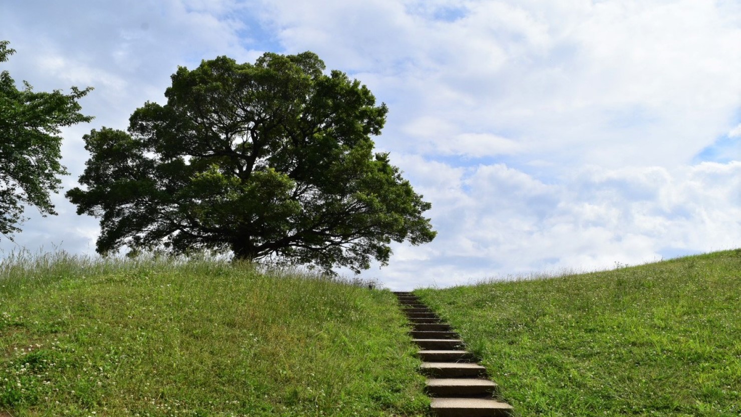 映画やミュージックビデオの聖地で有名なゆずの木（清水ケ丘公園）