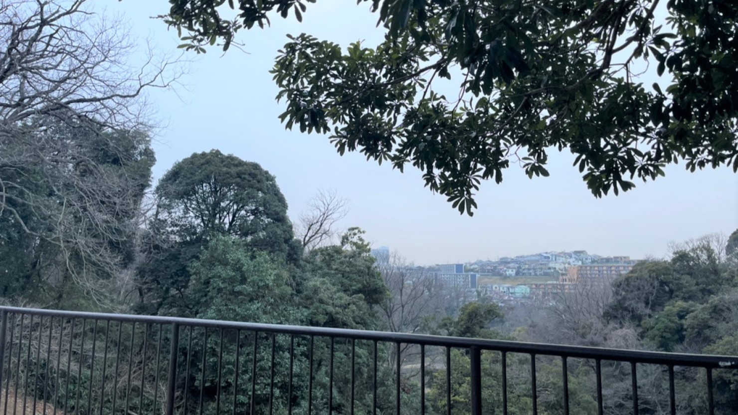 久良岐公園から見える自然豊かな景色