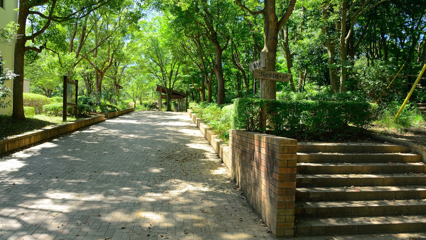 緑豊かな舞岡公園