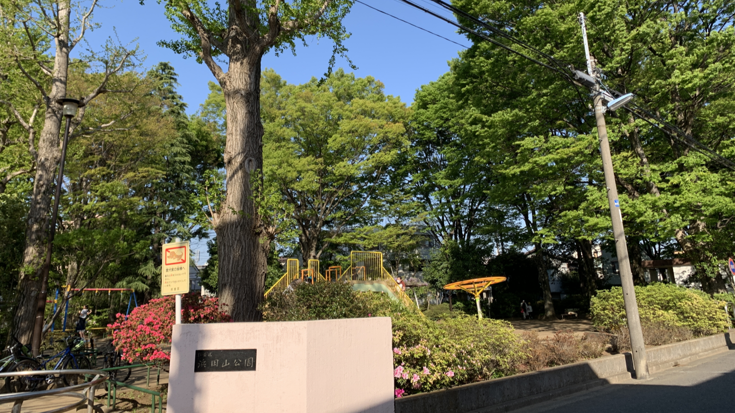 浜田山公園。ちらりと見えるのが大きなすべり台