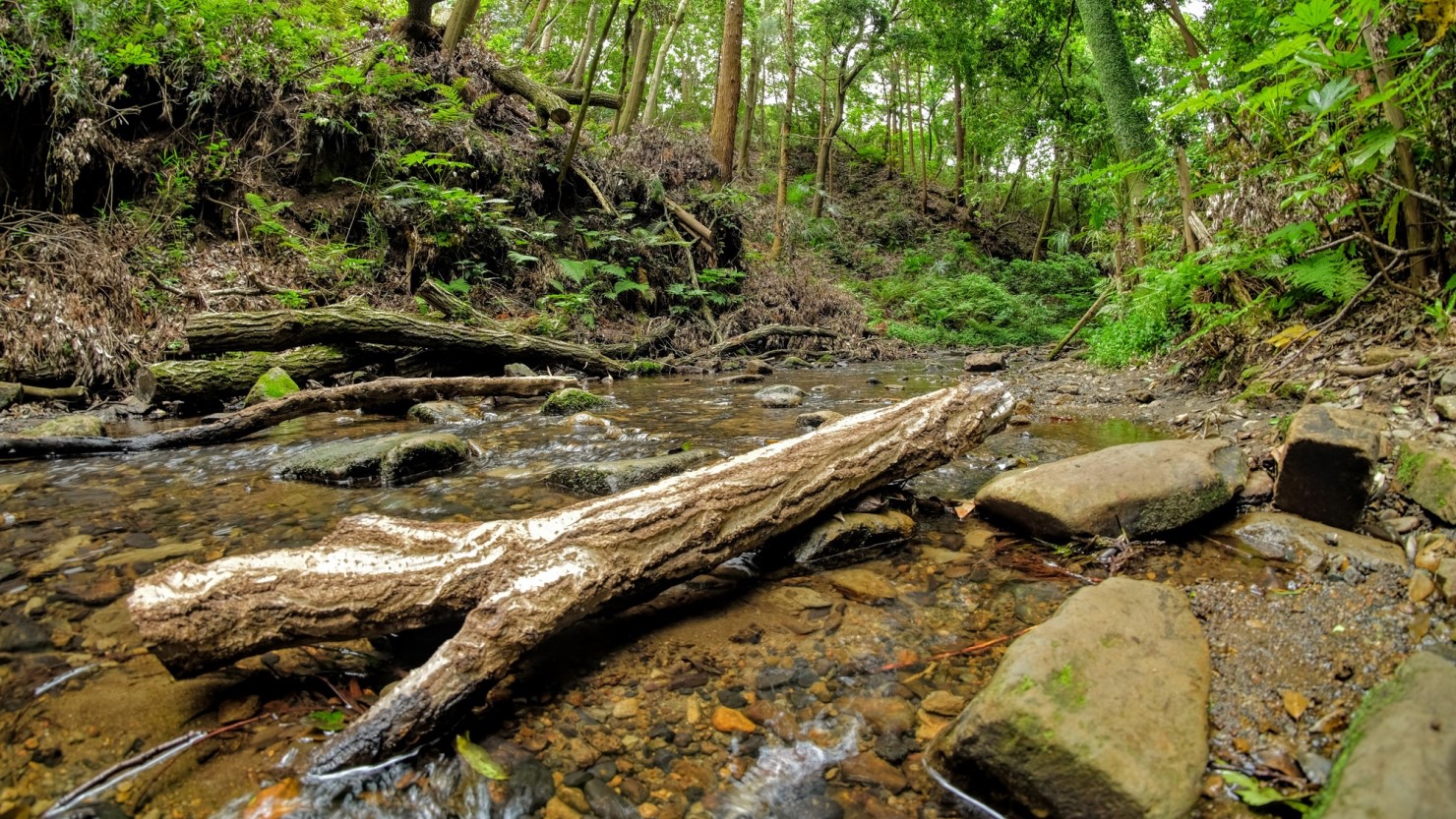 陣ケ下渓谷公園