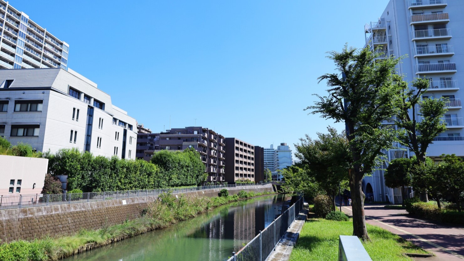 横浜市旭区を流れる帷子川