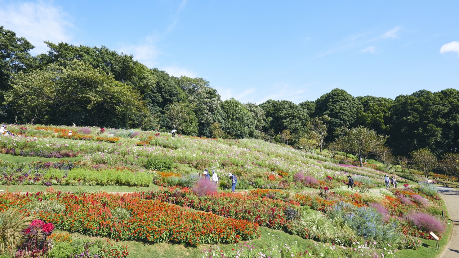 横浜・里山ガーデン（横浜市提供）