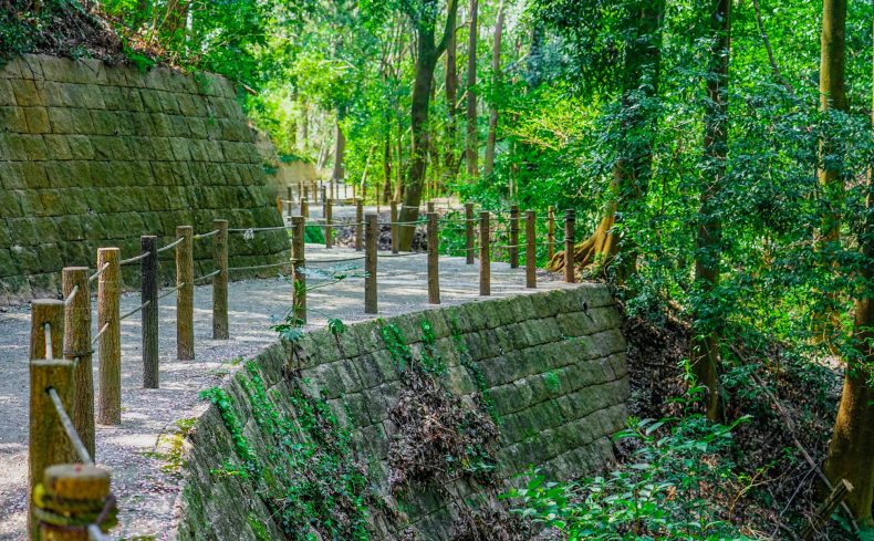 横浜で緑が一番多い街、「緑区」の住みやすさは？ 地産地消も楽しめる暮らしの魅力