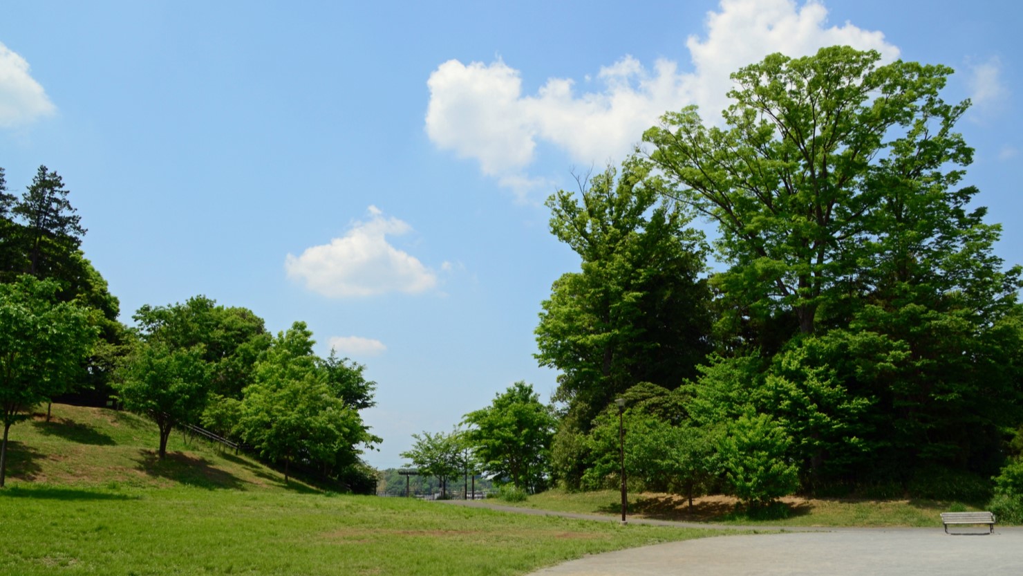 長津田みなみ台公園