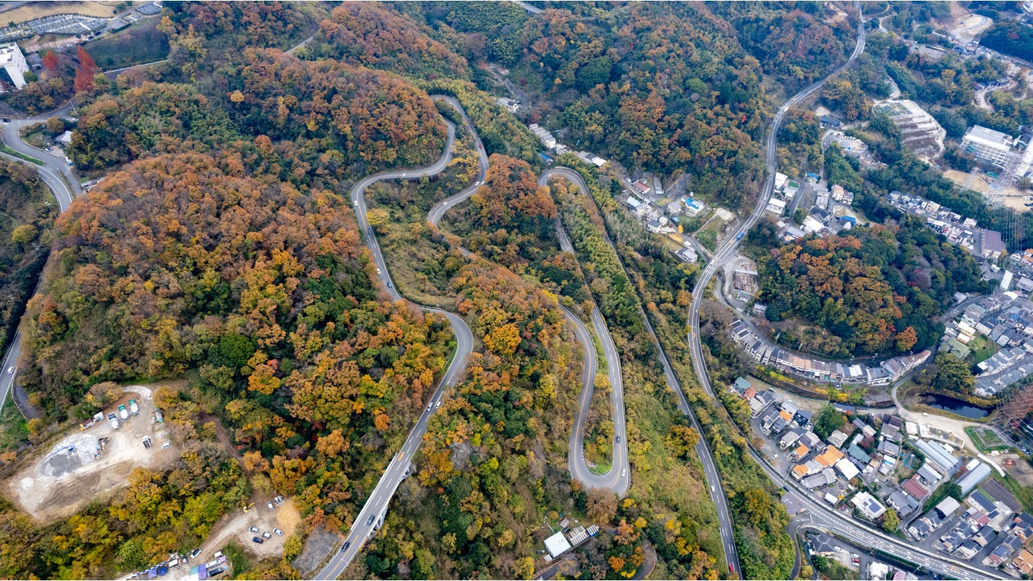大阪府大東市　阪奈道路（上り）の紅葉