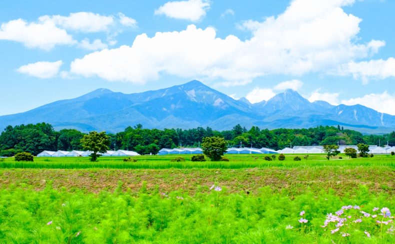 山梨県「北杜市」の住みやすさは？都内まで2時間で行ける、水と空気がおいしい街