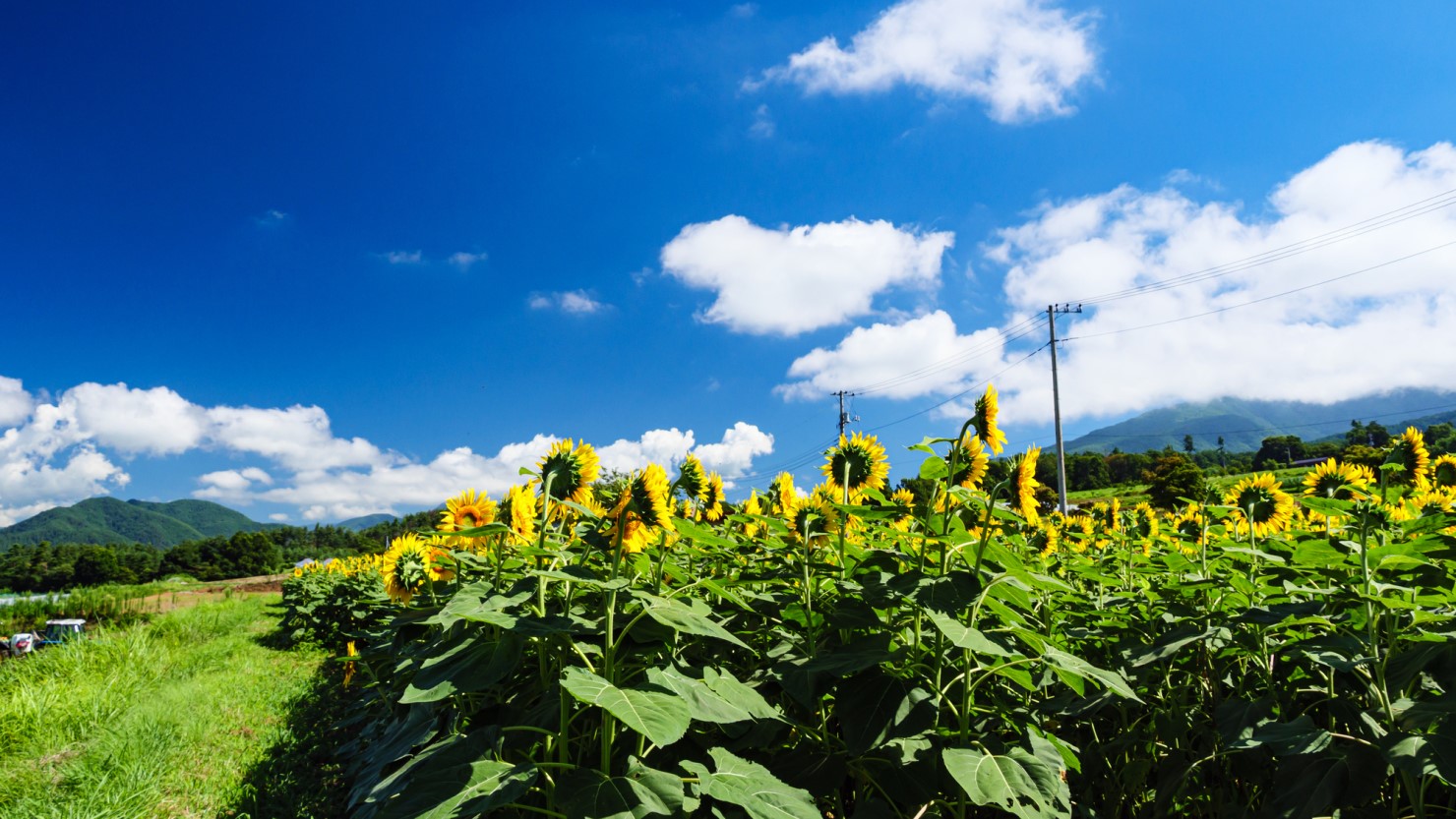 日照時間が長く明るい北杜市