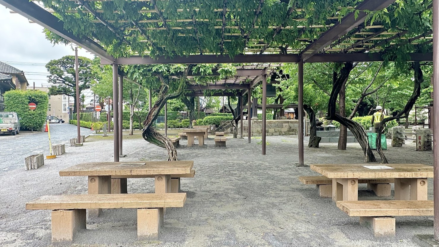 緑に囲まれた場所で腰を下ろせる