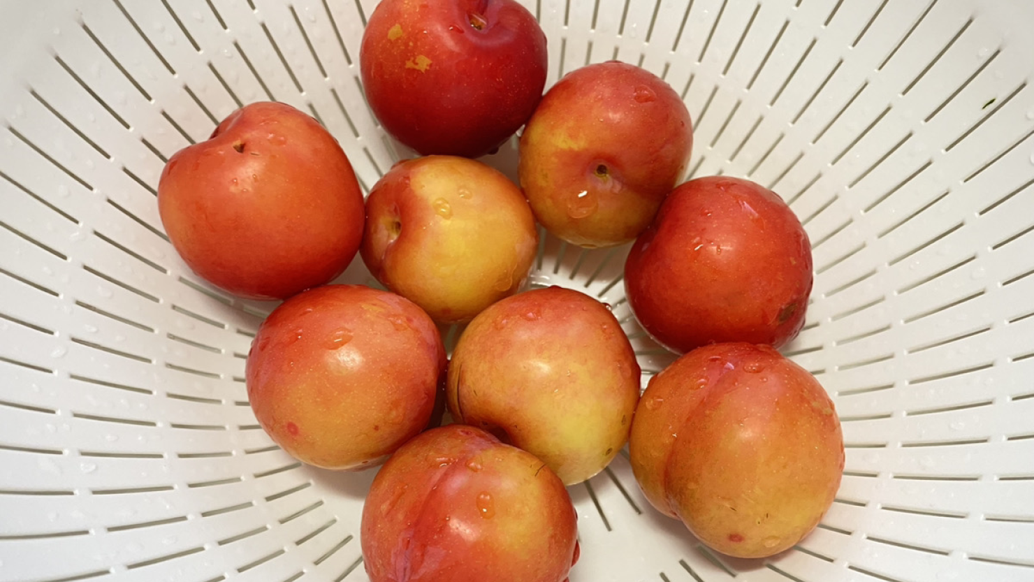 よく洗ったプラム