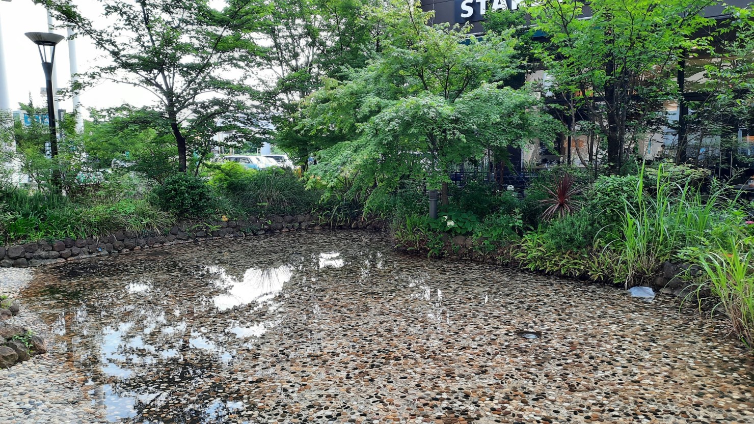 自然もある越谷レイクタウン駅周辺