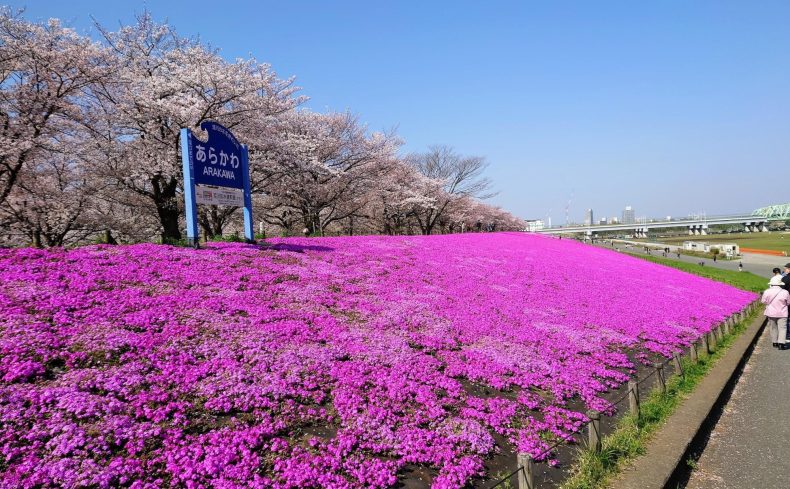 東京都北区「赤羽」を散歩してみよう！地元民がおすすめする散歩スポットを紹介