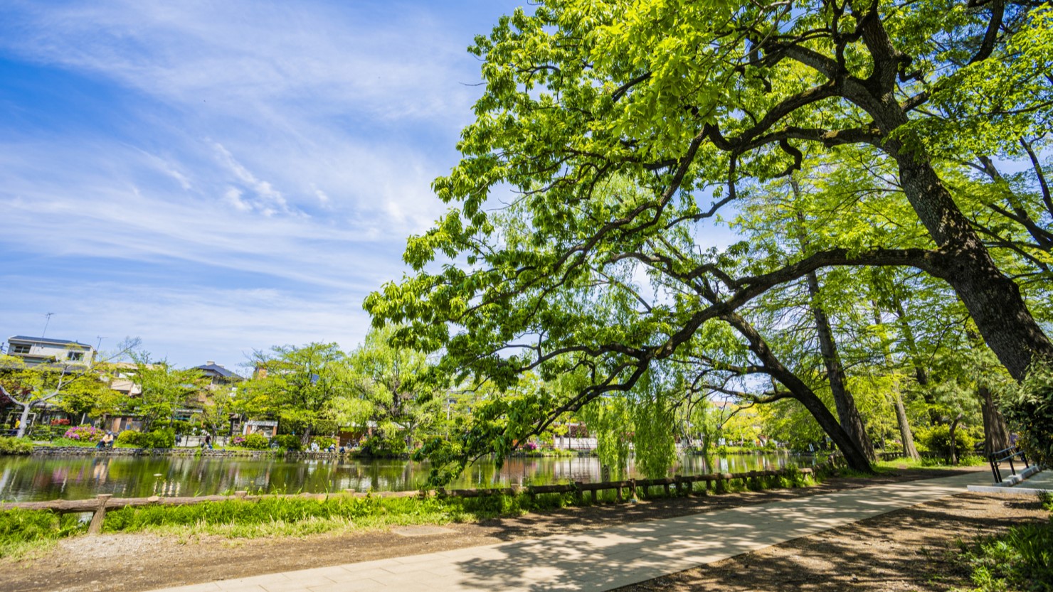 石神井公園