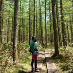 藤原　勇魚（ふじわら　いさな）