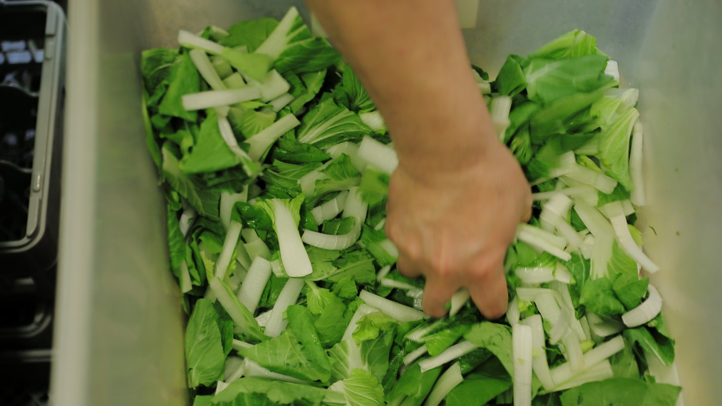 思い出の味を再現するために、自分たちで栽培している杓子菜