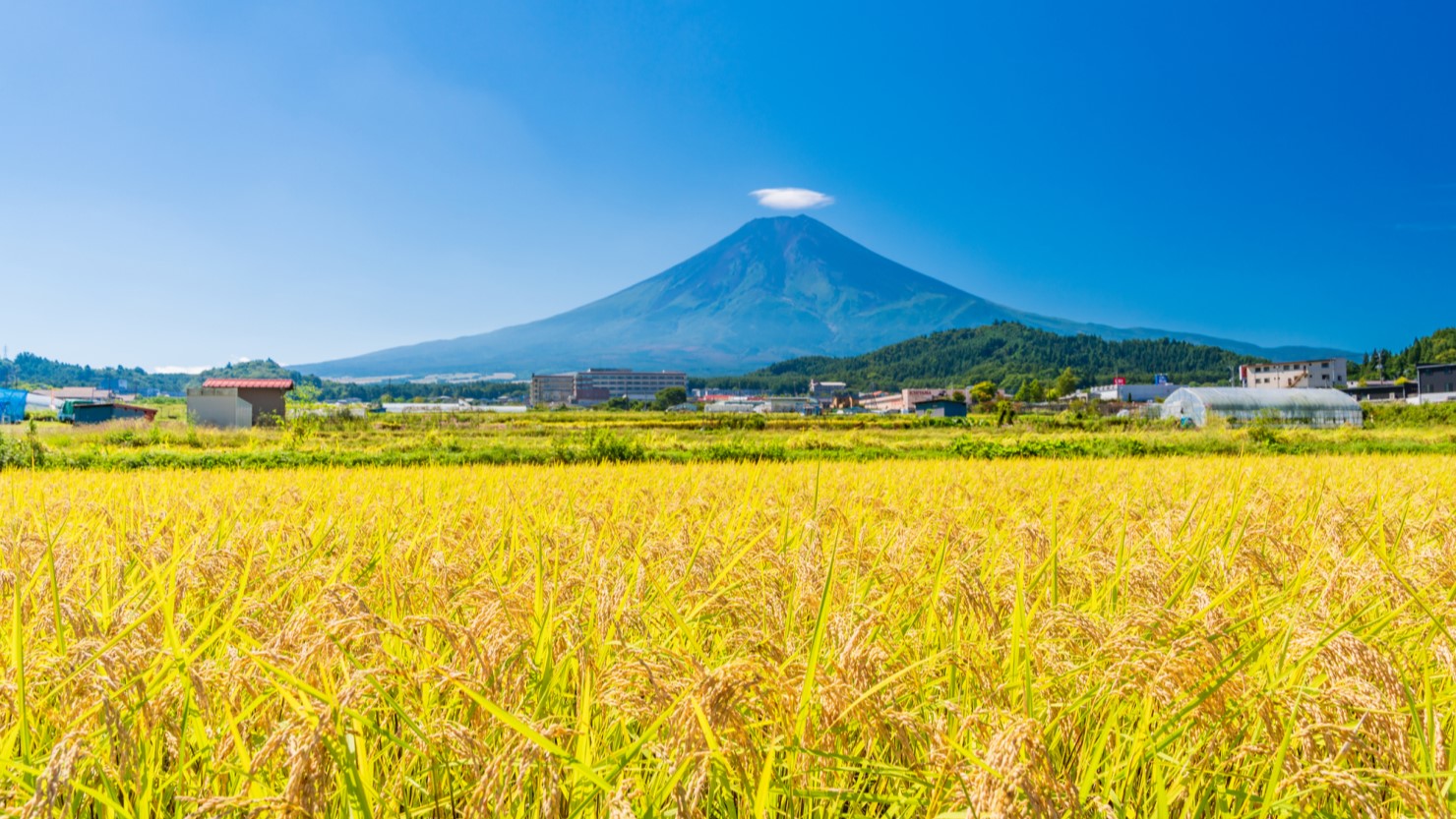 農作や畑作も盛んで食べ物がおいしい