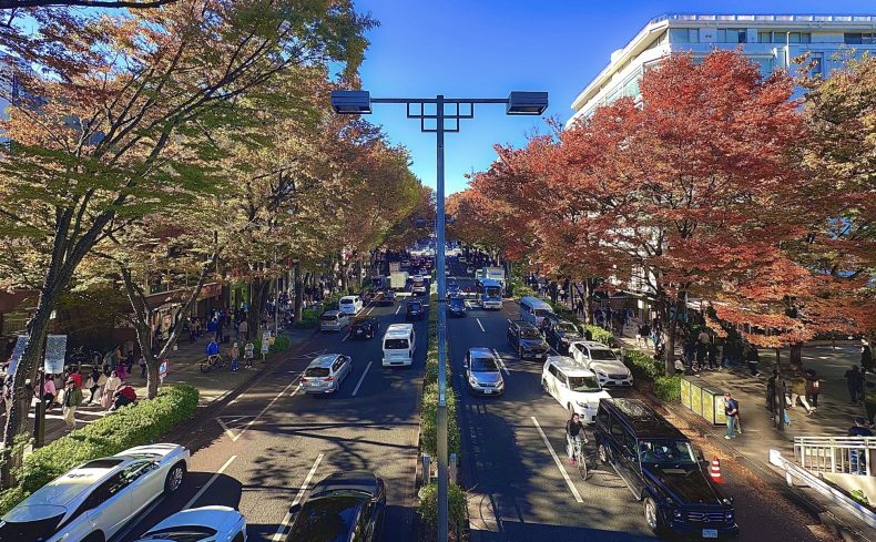 東京都「表参道駅」周辺を散歩してみよう！おすすめの散歩スポット”6選”