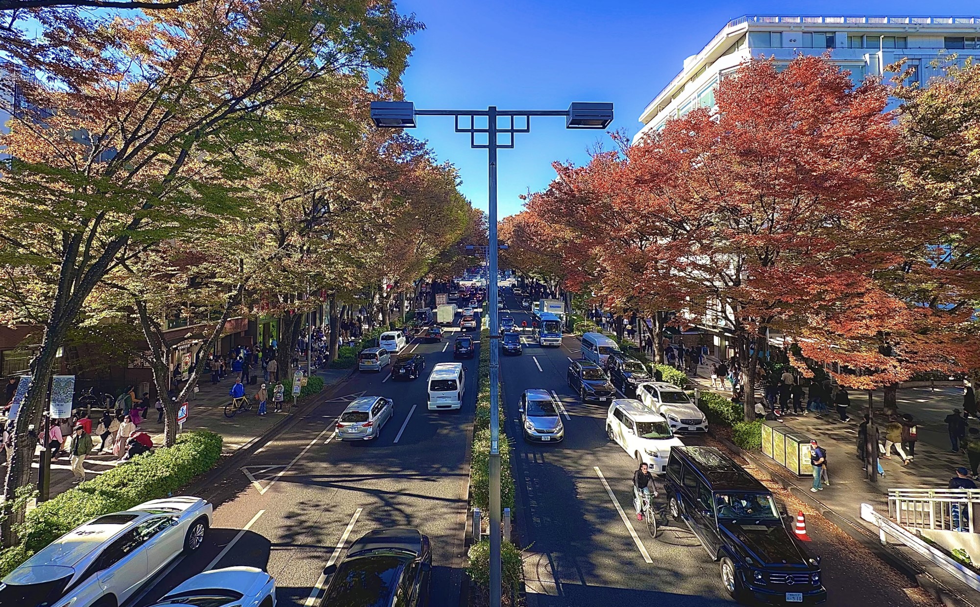 東京都「表参道駅」周辺を散歩してみよう！おすすめの散歩スポット”6選”