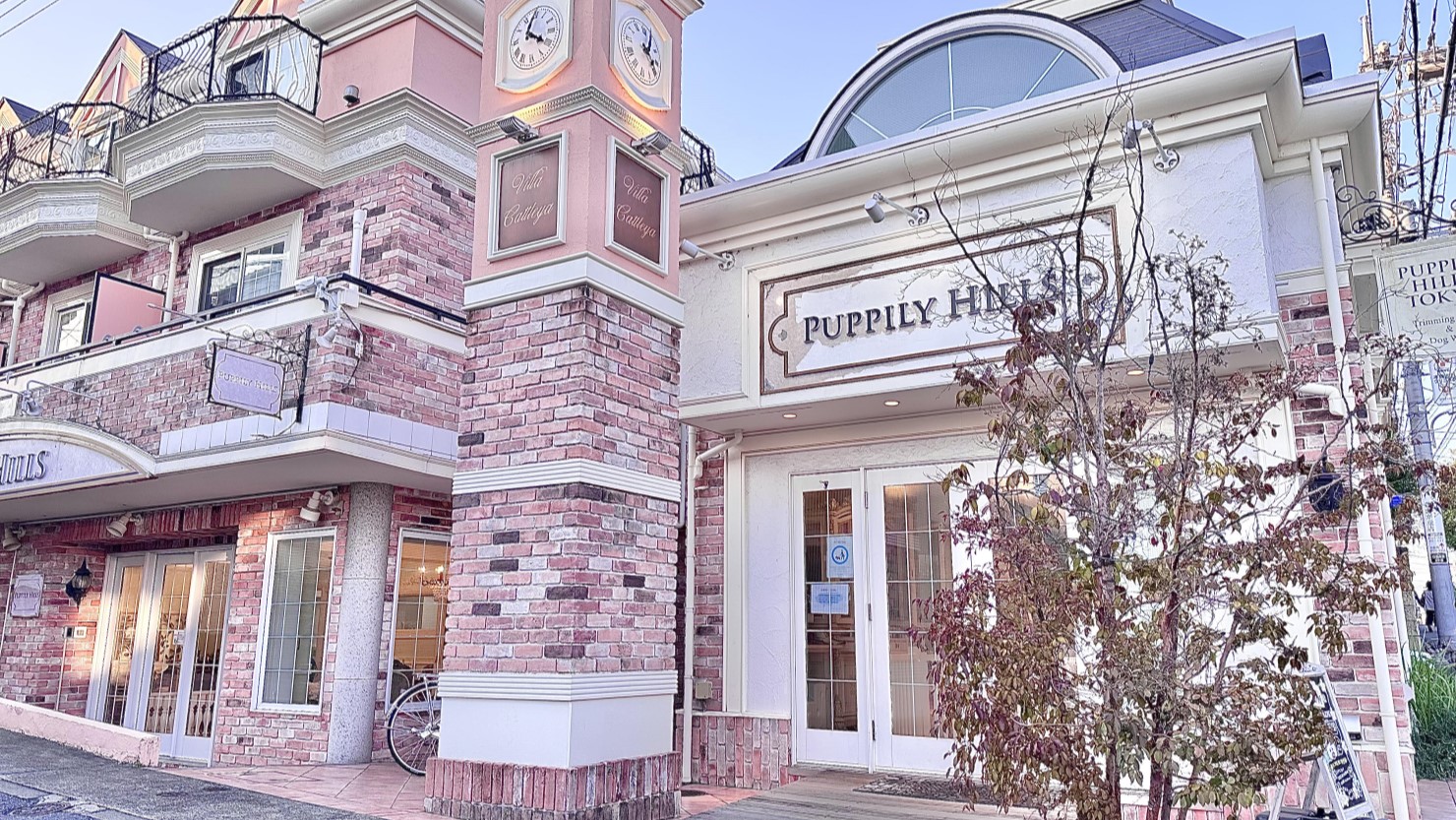 PUPPILY HILLS TOKYO（パピリーヒルズ）