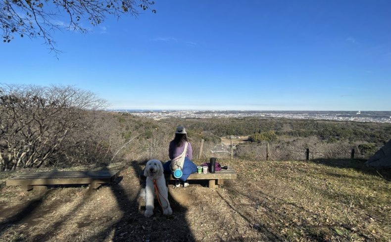気軽に眺望と桜を楽しめる三舟山（千葉県）に登ろう！～第8回 犬と週末登山の体験記～