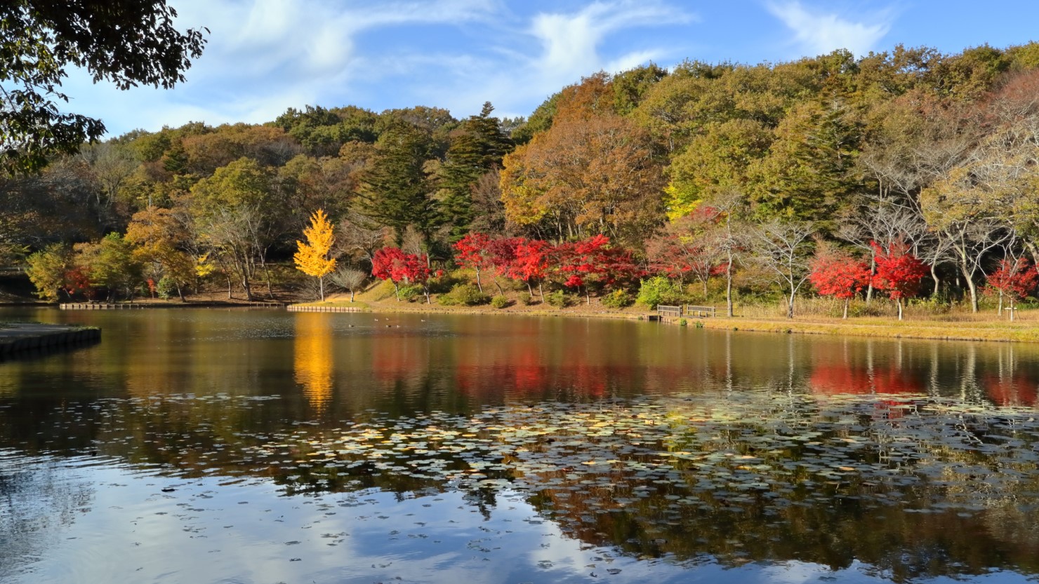 笠間市北山公園