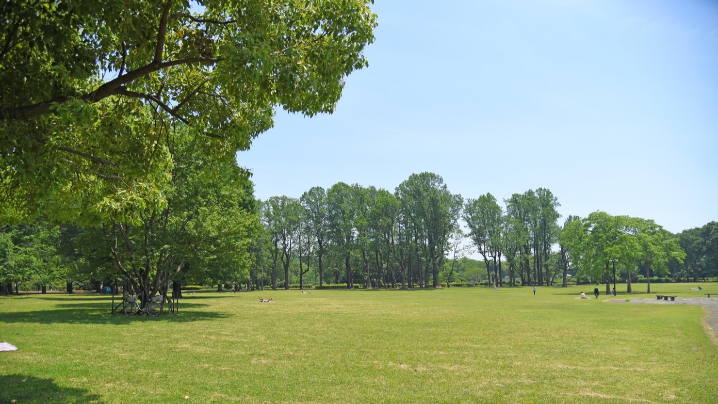 小金井公園