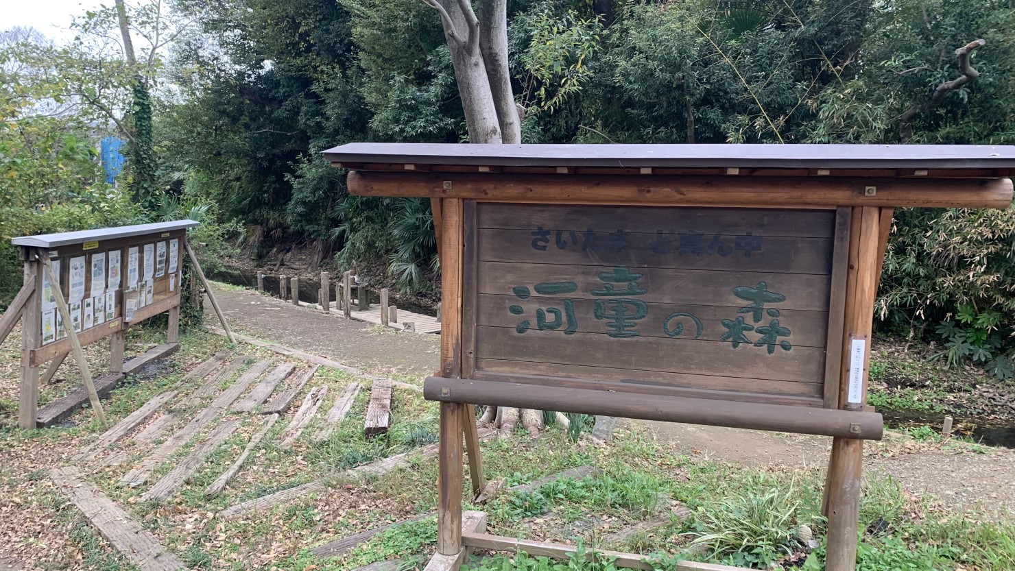 自然たっぷりのスポット「河童の森」