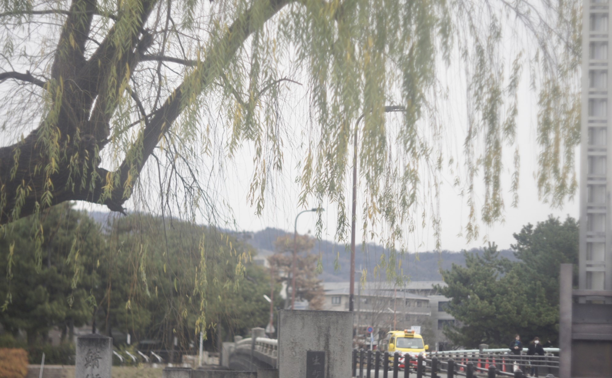 京都市「出町柳駅」の住みやすさは？出町柳駅周辺の魅力やおすすめスポットを紹介