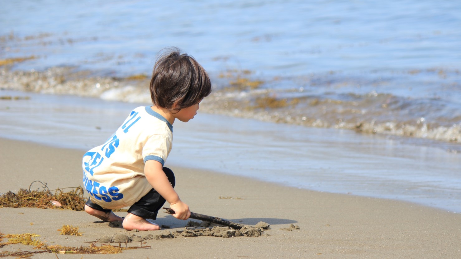 海浜公園で遊ぶ子どものイメージ