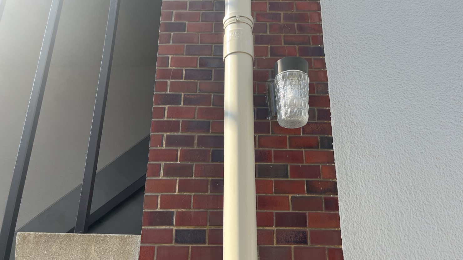 ブドウのような凸凹のある照明もキュート