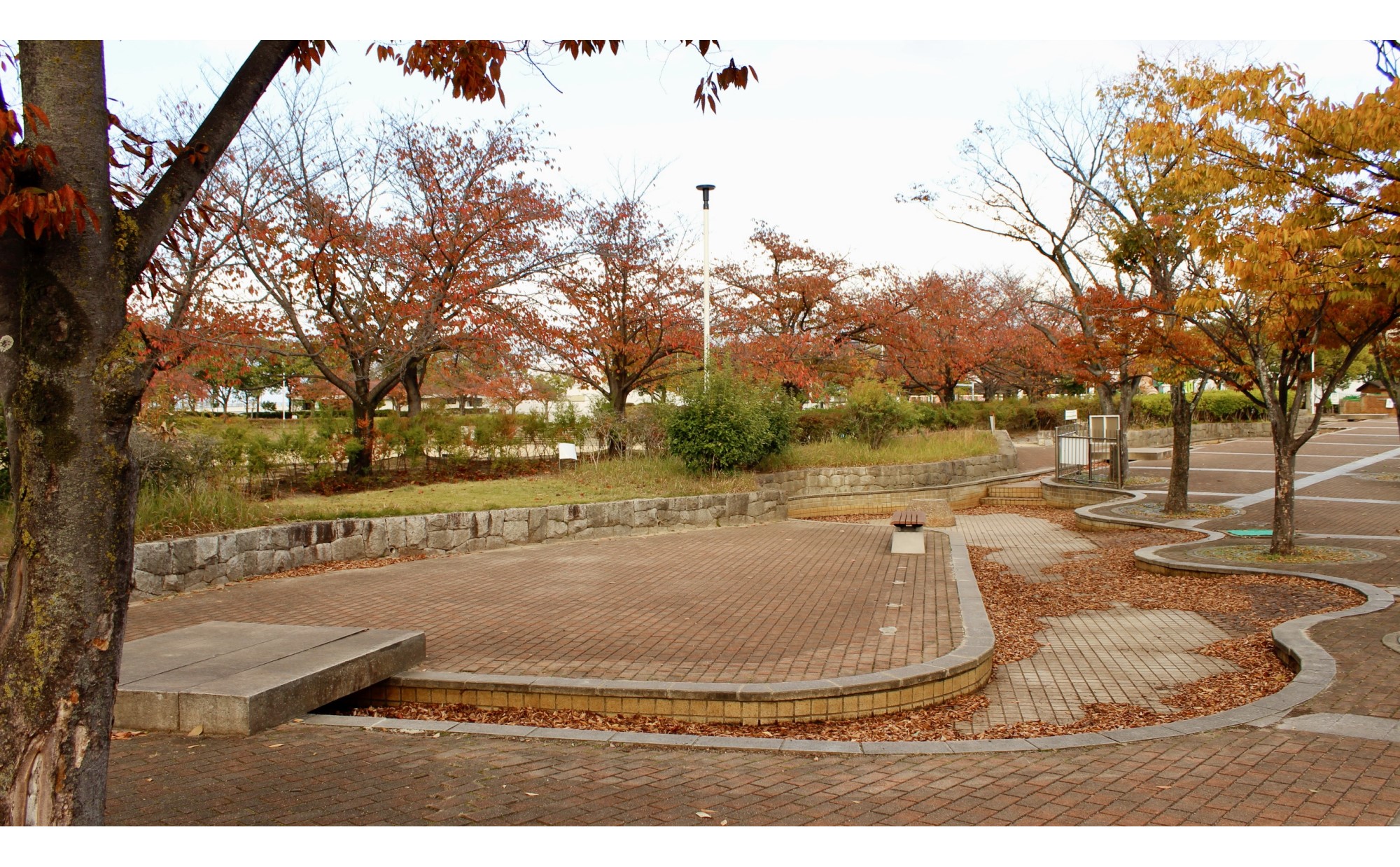 京都府「八幡市」の住みやすさは？在住歴20年の私が魅力を紹介します