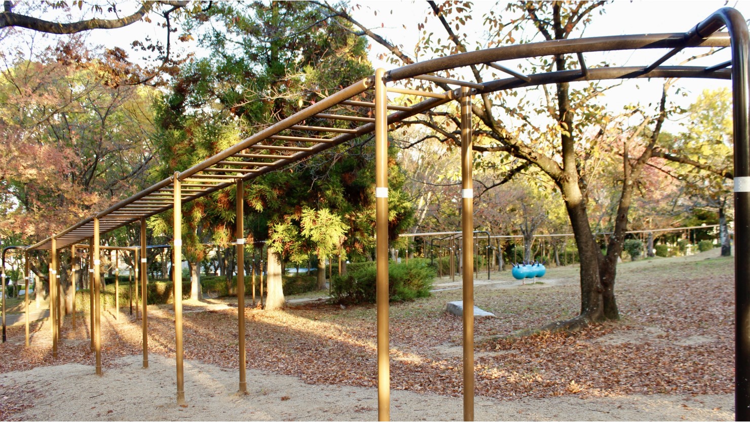 さくら近隣公園の全長88mの雲梯、モンキーチャレンジ