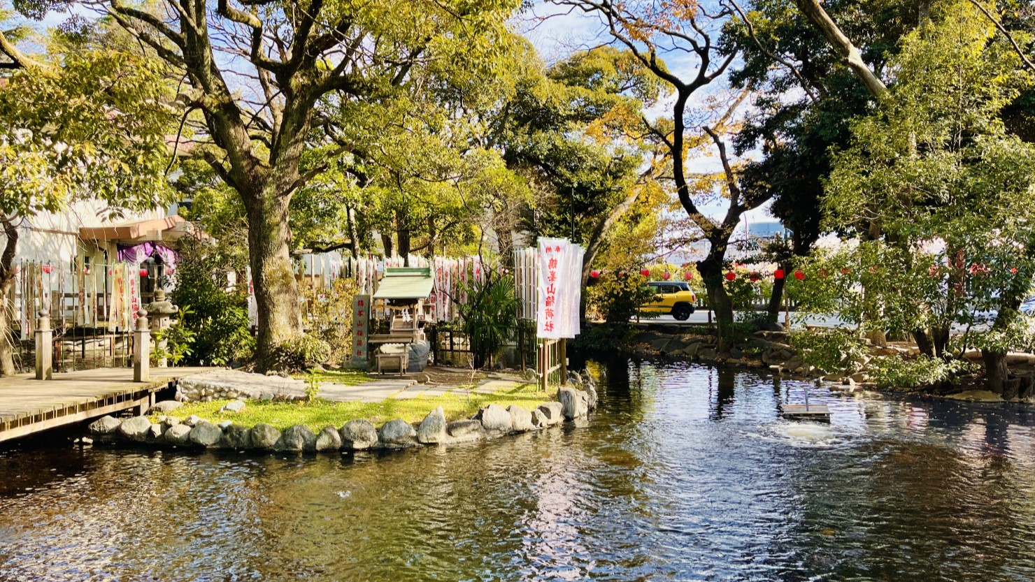 平塚八幡宮にある鯉やアヒルのいる池