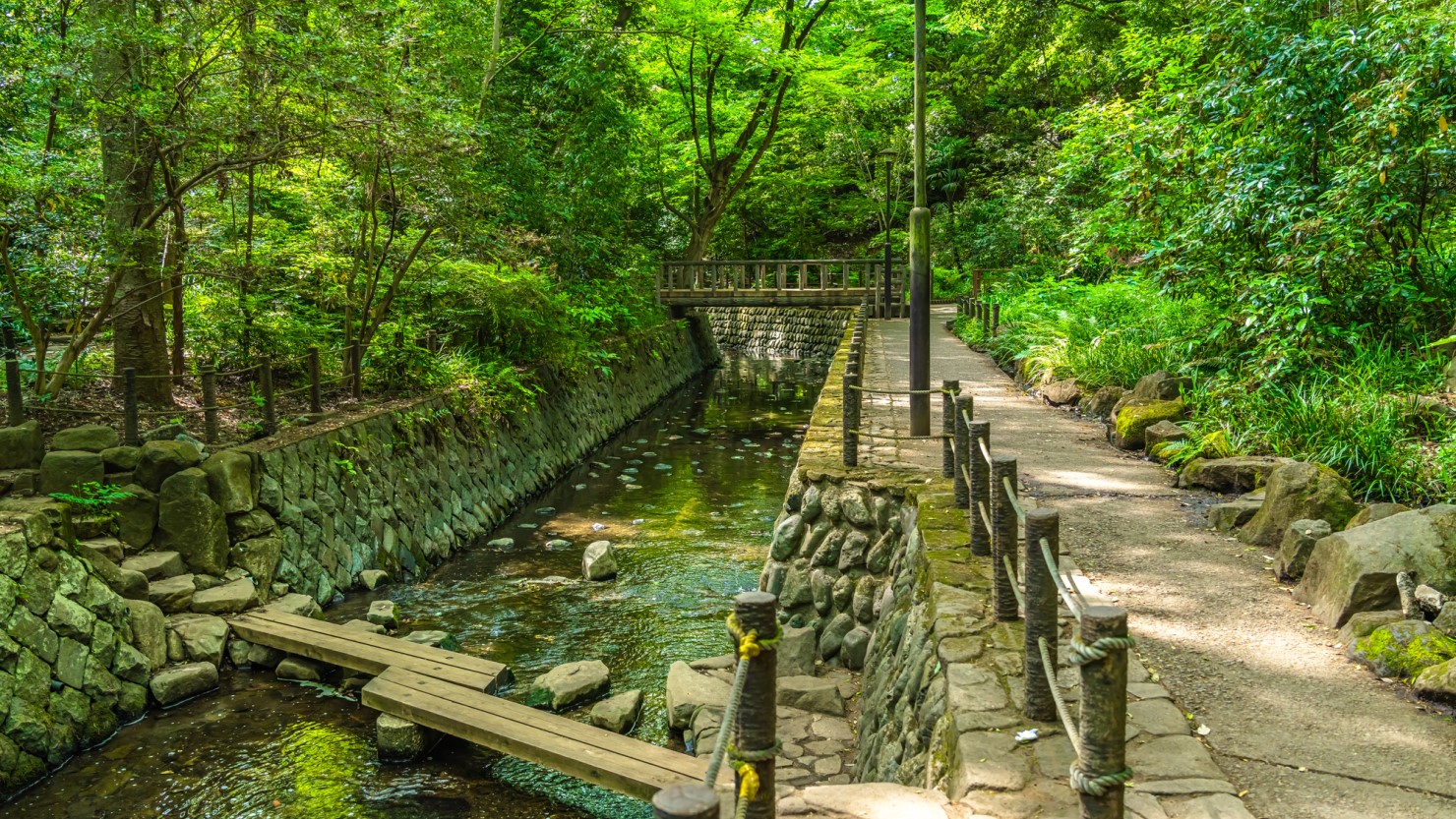 等々力渓谷内の道