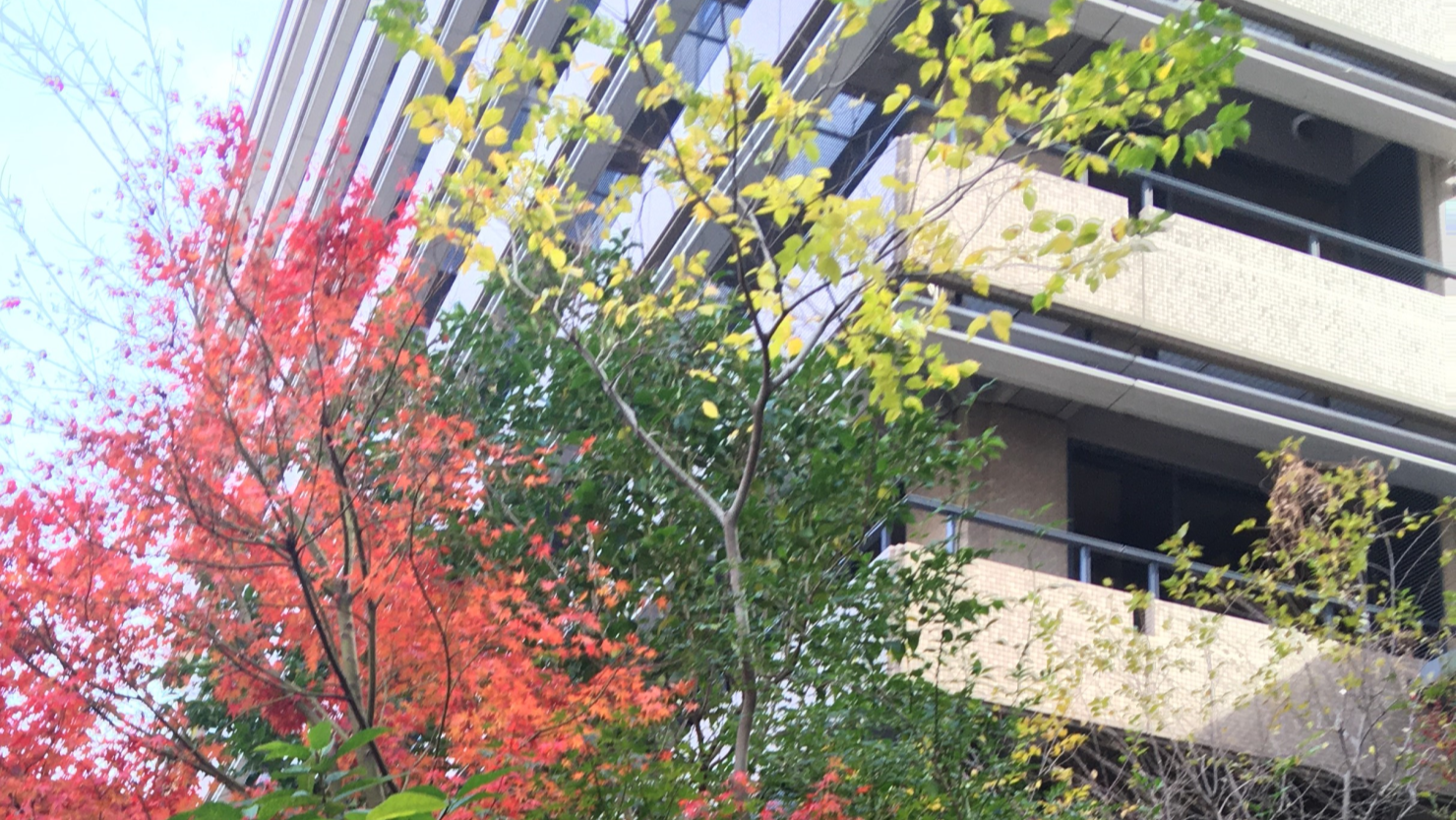 防音対策された住まいのイメージ