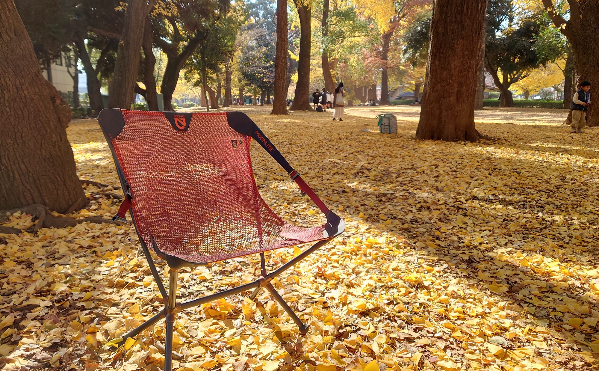 東京都「上野」の自然スポットを巡る～第6回 気になるあの街の自然を楽しむチェアリング旅～