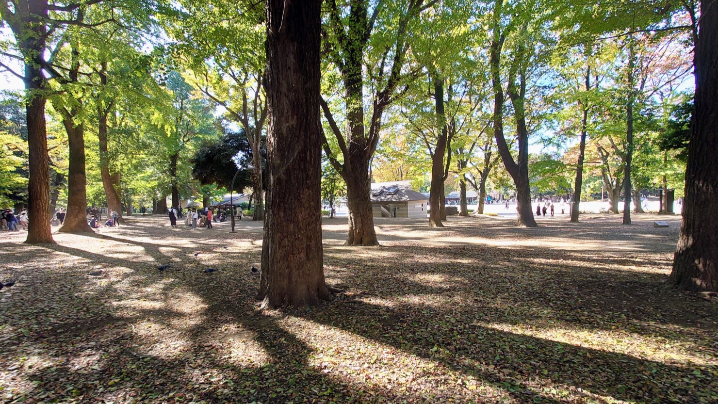 緑豊かな上野恩賜公園