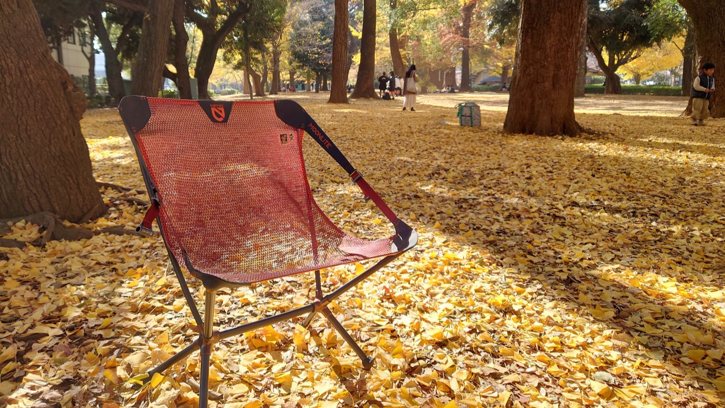 上野恩賜公園のイチョウの絨毯